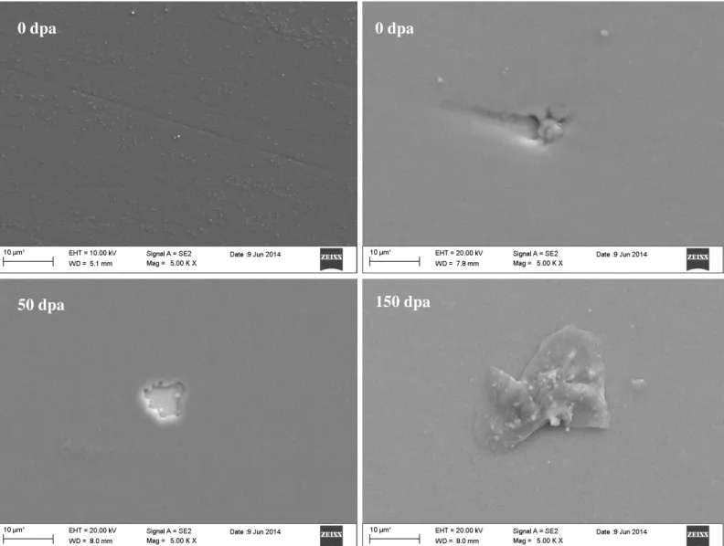 Fig.  7  Micrografie  SEM  della  superficie  dei  rivestimenti  PLD  di  Al 2 O 3   (0,  50  e  150  dpa)