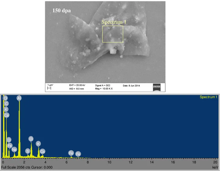 Fig.  10  Micrografie  SEM  e  analisi  EDS  della  superficie  del  rivestimento  PLD  di  Al 2 O 3     150  dpa