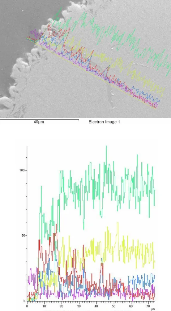 Fig. 11 Micrografia SEM e analisi EDS di linea della sezione del campione Dep.04-14 Camp