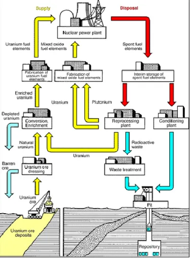Figura 2. Schema del ciclo del combustibile ( http://www.chemcases.com/nuclear/nc_16.html ).