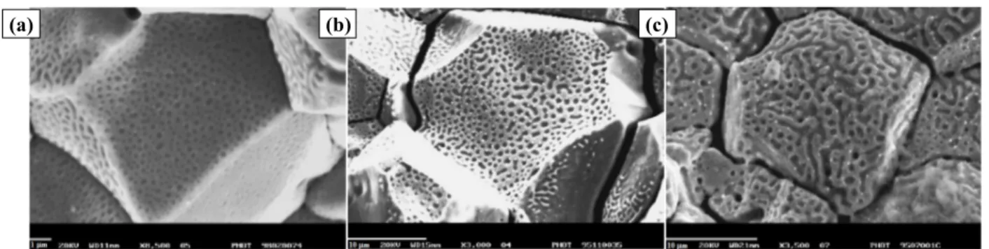 Fig. 1.3. SEM images of grain-boundary gas bubbles in oxide fuel at different irradiation times and conditions