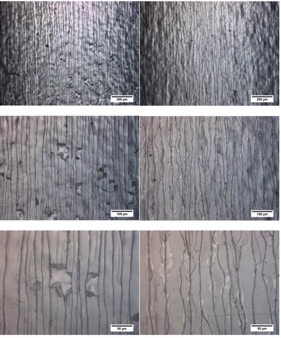 Fig. 17 Microscopia ottica della superficie del campione 10 µm Al 2 O 3 /316L sottoposta a freccia massima 