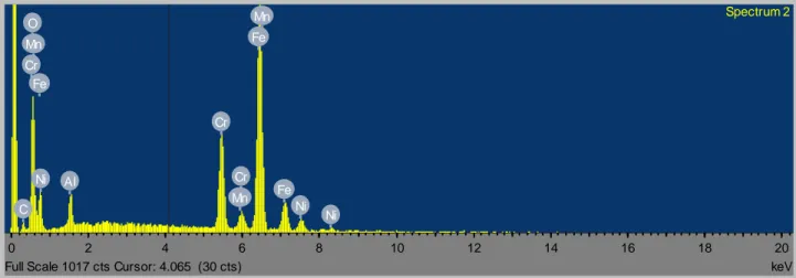 Fig. 2 Micrografia  SEM e analisi EDS della superficie del campione 5 µm Al 2 O 3 / 500 nm FeCrAlY/ 316 