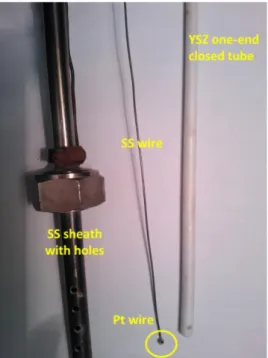 Figura 4: Componenti costituenti il sensore di ossigeno per l’impianto LECOR; fodero in acciaio con  fori (sinistra), filo elettrodico in acciaio con estremità in Pt (centro) e tubo chiuso ad una estremità 