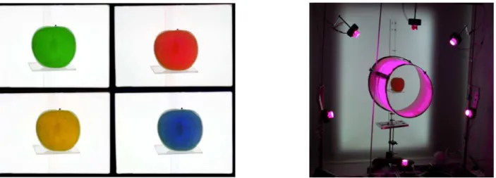 Figura  6:  a  sinistra:  una  mela  illuminata  da  diverse  illuminanti.  A  destra:  il  setup  sperimentale  (immagine  presa  da  [18])