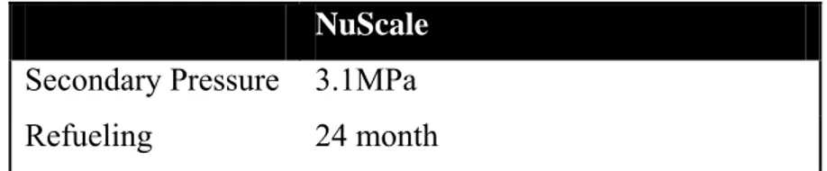 Fig 3.1.2 NSS and BOP of a Nuscale module 