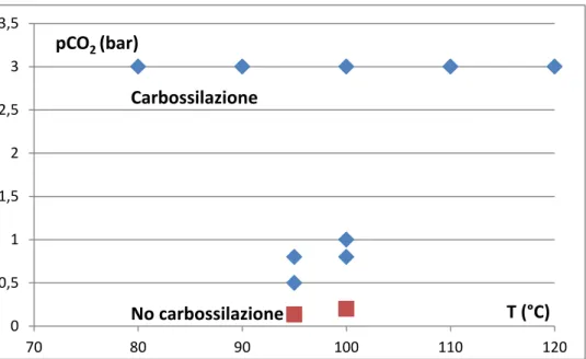 Figura 3. Condizioni di carbossilazione della resorcina in funzione della temperatura e della pressione  La  verifica  della  avvenuta  o  meno  carbossilazione,  è  stata  effettuata  mediante  spettroscopia  IR  sull’acido  precipitato