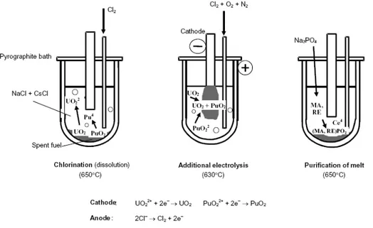 Figura 9. Sequenza operativa per il riprocessamento elettrochimico di combustibile MOX 