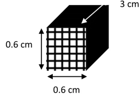 Fig. 8: Rappresentazione dei monoliti utilizzati. 