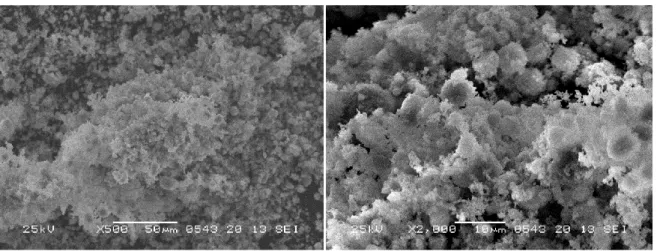 Figura 3. Microfotografie a differenti ingrandimenti effettuate sul campione preparato per precipitazione in fase  eterogenea da fosfato ammonico sopra stechiometrico trattato a 550°C