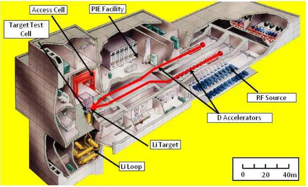 Fig. 1 - Conceptual view of IFMIF plant 
