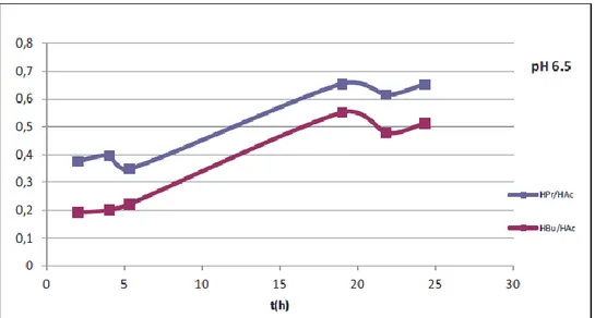 Figura 27. Andamento del rapporto molare HBu/HAc e HPr/HAc - prova a pH 6.5 
