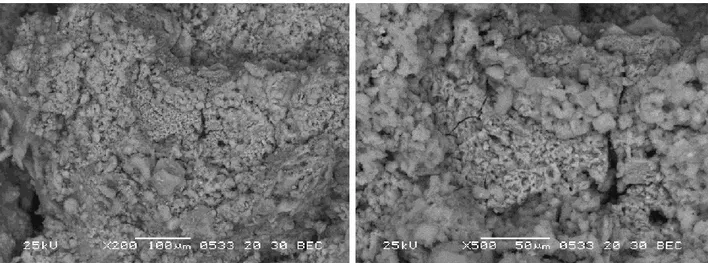 Figura 9. Microfotografie a due maggiori ingrandimenti effettuate sul campione preparato per precipitazione in fase  eterogenea da fosfato ammonico stechiometrico sull’aggregato di primo tipo