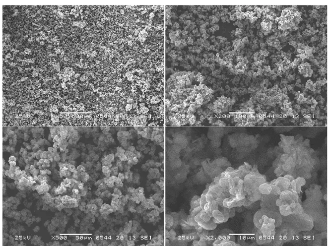 Figura 12. Microfotografie a differenti ingrandimenti effettuate sul campione preparato per precipitazione in fase  eterogenea da fosfato ammonico sopra  stechiometrico