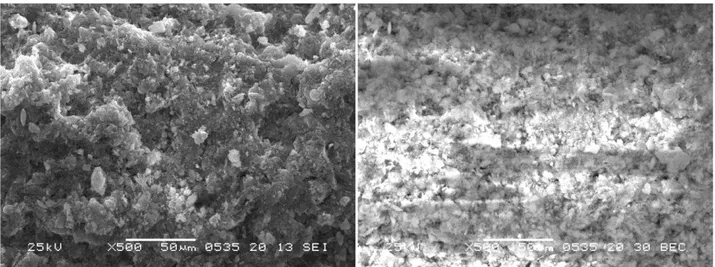 Figura  2.  Microfotografie  a  500  ingrandimenti  effettuate  sul  campione  preparato  per  precipitazione  in  fase  omogenea in esposizione normale (sinistra) ed in back scattering (destra)