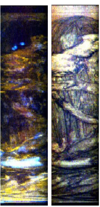 Figura 11. Immagine di S03 in fluorescenza a falsi colori a 300, 380 e 446 nm e in riflettanza