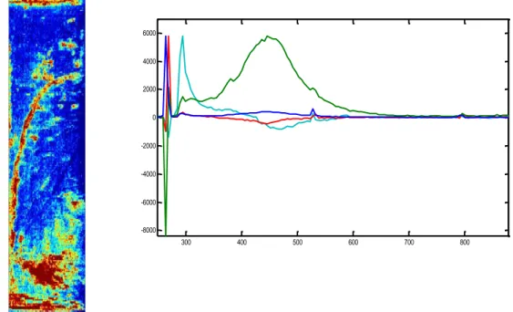 Figura 4. Immagine LIF a 446 nm (sinistra) e relativa analisi in componenti principali (PCA) (destra)