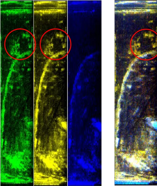 Figura 5. Immagine RGB in falsi colori ( a destra) da immagini in fluorescenza   a 446, 380 e 300 nm rispettivamente (a sinistra)