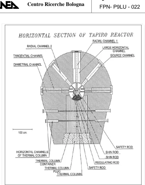 Figura 2: Sezione Orizzontale del Reattore Tapiro.  