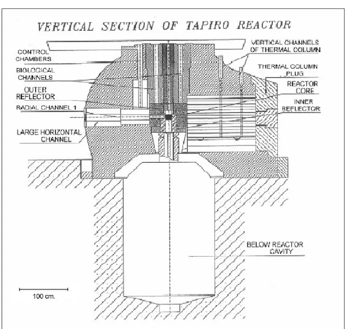 Figura 3: Sezione Verticale del reattore TAPIRO. 