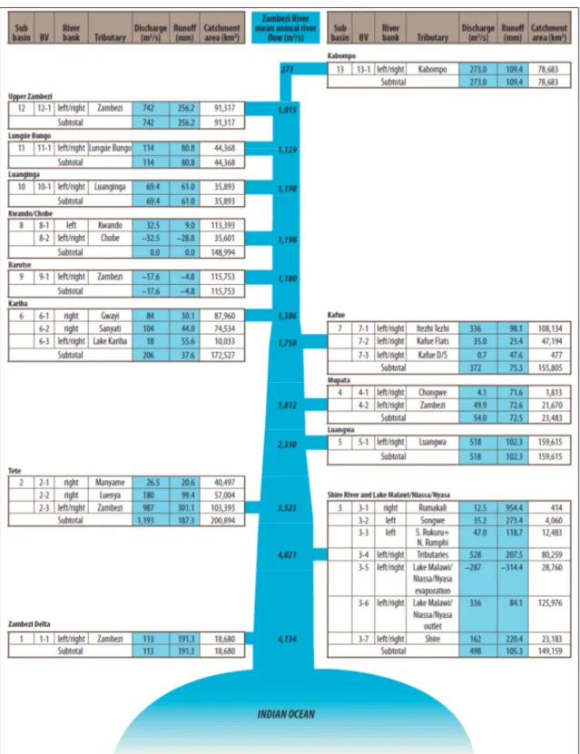 Fig. 4 – Rappresentazione schematica del sistema fluviale dello Zambesi (World Bank, 2010)