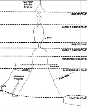 Fig. 8 – Rappresentazione schematica dei principali tipi di morfologia fluviale osservati nel tratto inferiore  dello Zambesi (da: Davies et al., 2000)