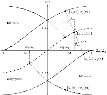 Figure 4.4: Geometry of an undulation region along the warp yarn. 