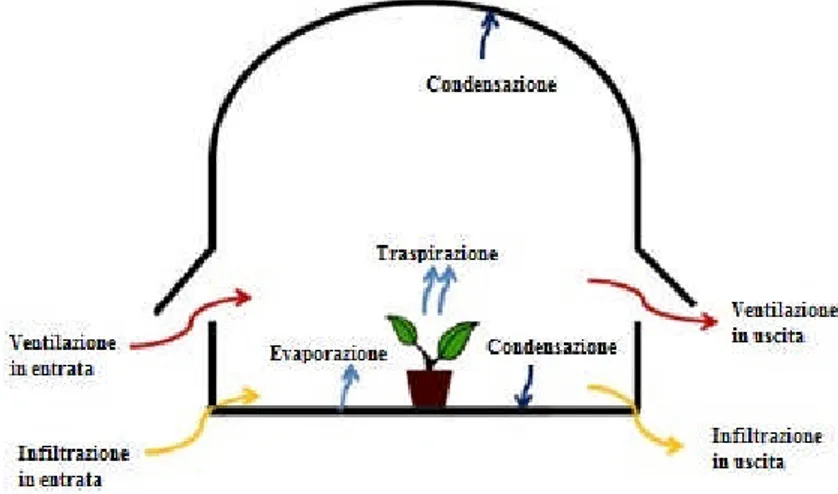 Figura 3 – Illustrazione dei diversi fenomeni fisici che caratterizzano il sistema serra