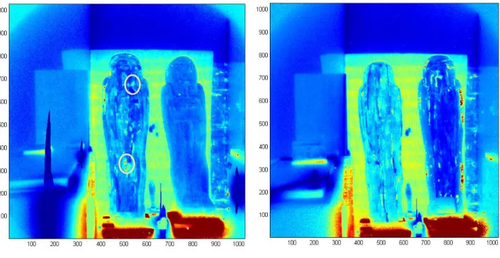 Figura 7. Immagini FORLAB in fluorescenza del sarcofago, ottenute dal rapporto delle rispettive immagini in fluorescenza filtrate a  340 e 445 nm