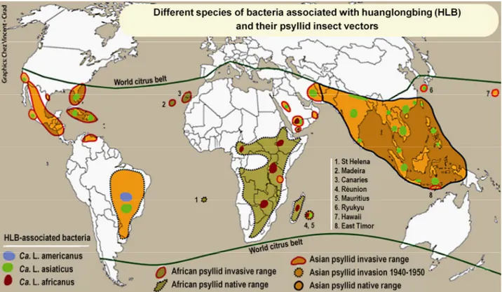 Figure 4. Map showing the global distribution of the different pathogens and vectors associated 
