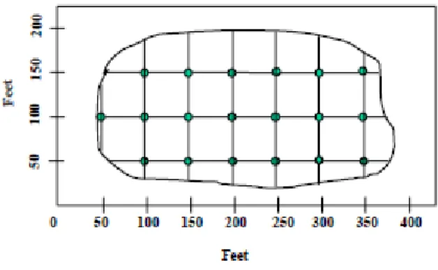 Fig. 4 Campionamento sistematico su griglia 