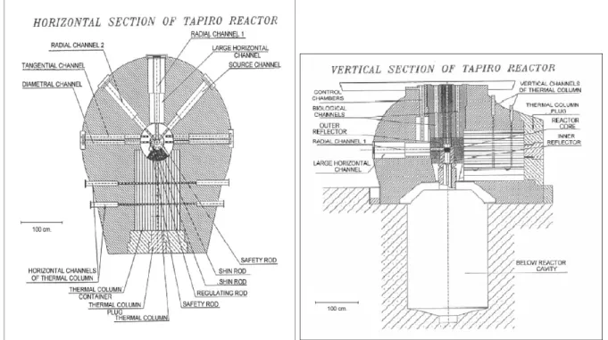 Figura 2: Sezioni del Reattore Tapiro.  