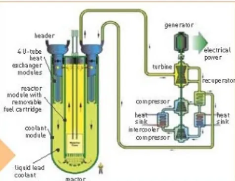 Fig. 2 : schema di funzionamento di un reattore LFR 