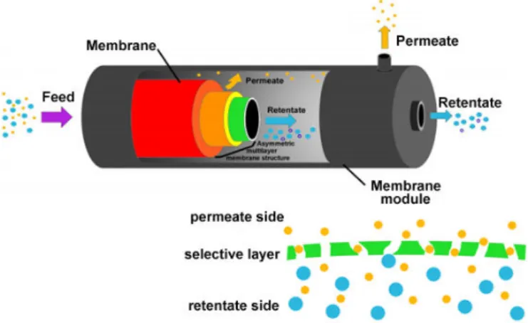 Fig. 2 Sketch of tubular microporous membrane (Boffa 2016) 