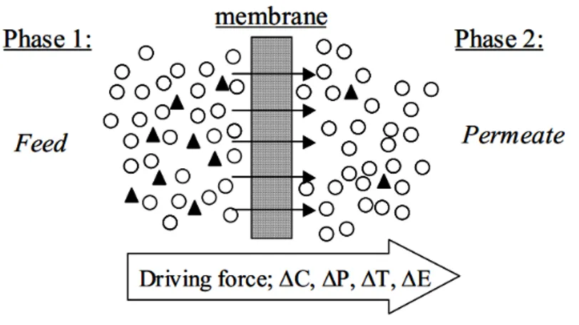 Fig. 8 Different driving forces present in a membrane separation process 