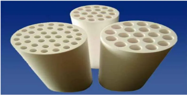 Fig. 1 Multi channel ceramic membranes (Manohar 2012) 