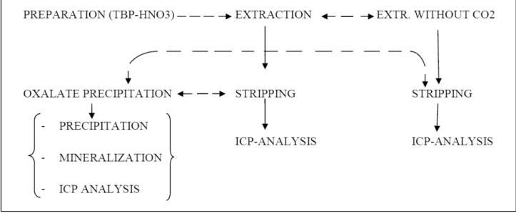 Figure 3: flowsheet reporting the working steps needed for the achievement of the data.