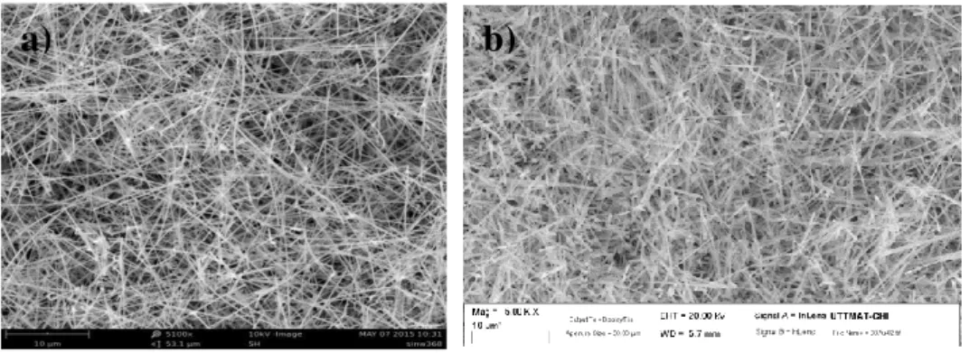 Figura 4. Immagini SEM dei campioni a) SINW368, d) SINW365 funzionalizzati con nanoparticelle di oro