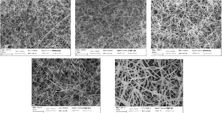 Figura 7. Foto SEM dei cinque supporti da 20cm 2  su cui sono stati cresciuti i nanofili di silicio