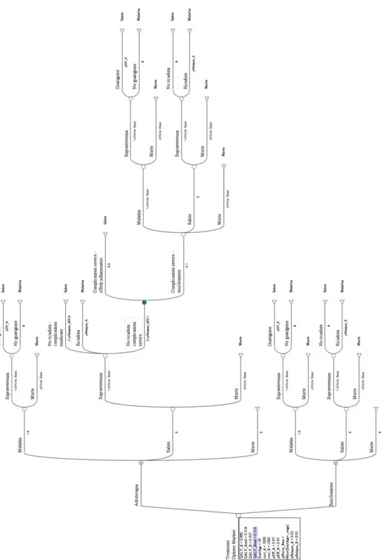 Figura 1 - Albero decisionale delle opzioni di trattamento considerate per il melanoma uveale 