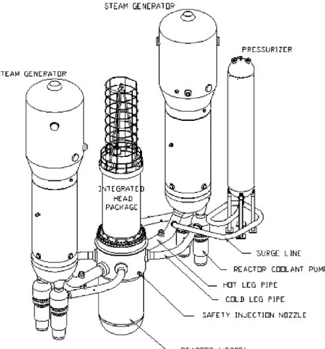 Figura 1: AP1000-Sistema di Raffreddamento del Reattore (RCS) 
