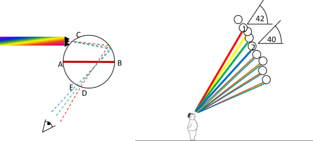 Figura 2. A sinistra, i colori dei raggi del Sole che entrano nella goccia in alto, lontano dal centro, vengono deflessi, ciascun colore  con  un  diverso  angolo  di  rifrazione