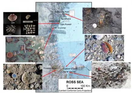 Figura 4. Punti di affioramenti fossili contenenti resti di organismi marini. Immagini: P