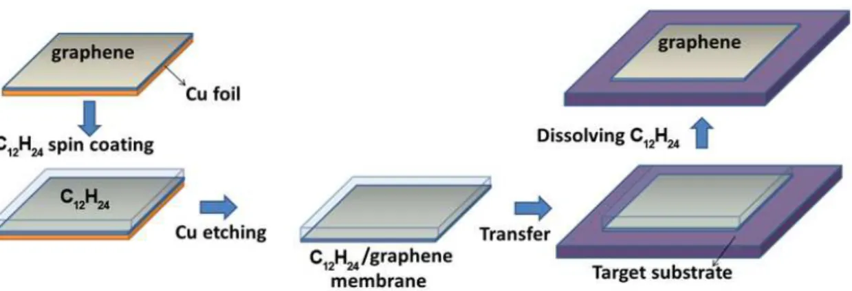 Figura 3: Illustrazione schematica del processo di trasferimento del grafene basato sull’utilizzo del ciclododecano