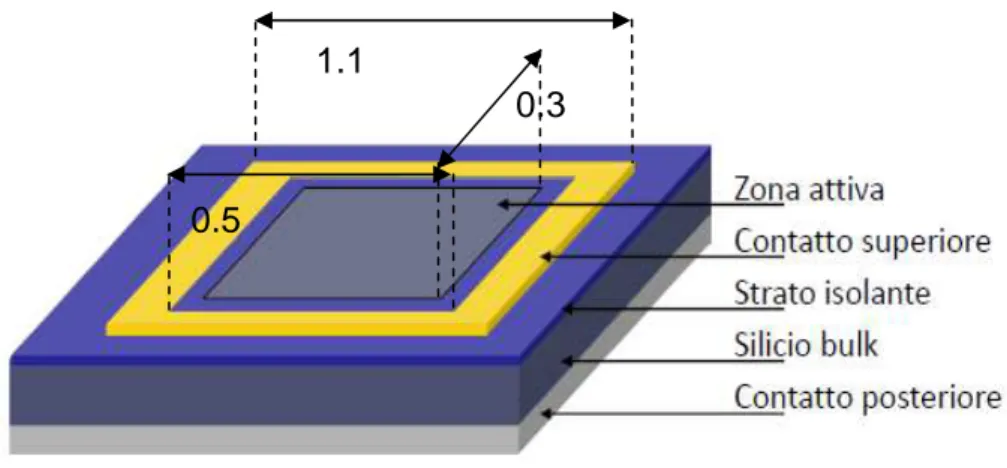 Figura 7: Schema della cella solare Schottky basata sulla giunzione grafene/silicio. 1.1 