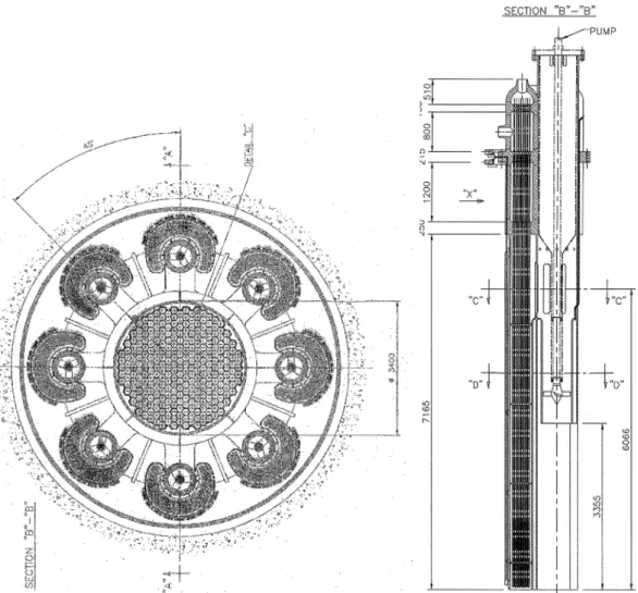 Fig. 4.3 – Progetto LEADER: schema del generatore di vapore di ALFRED. 