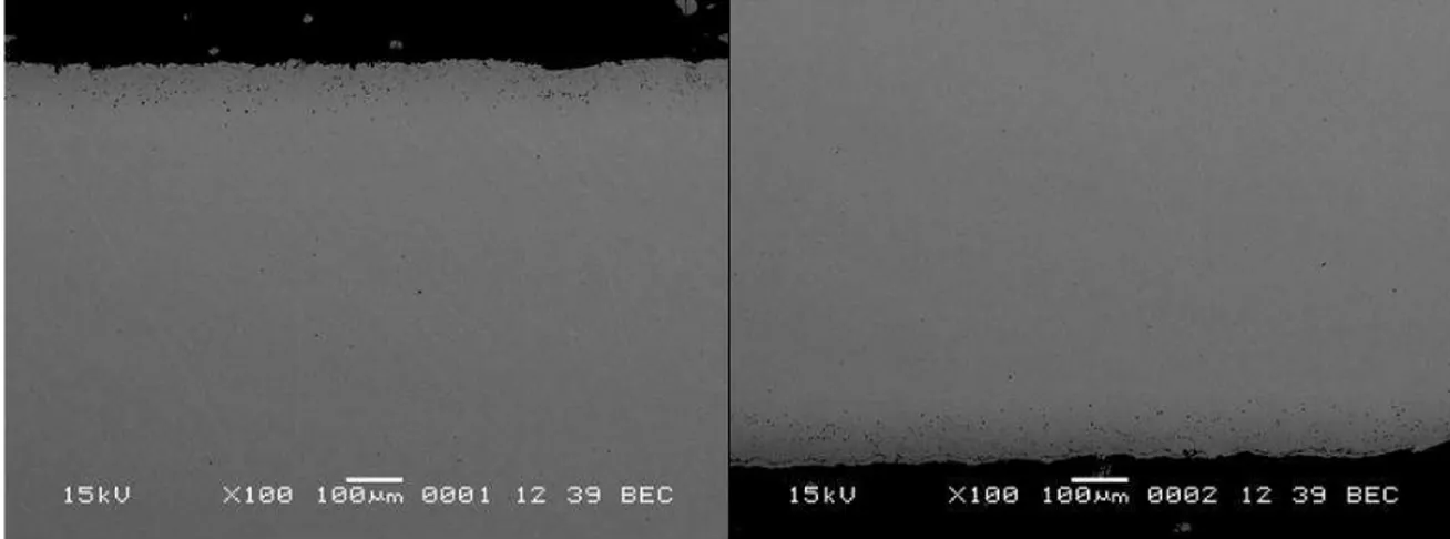 Figura 3 – Immagine SEM (100X) sezione metallografica campione acciaio 9%Cr dopo trattamento di  alluminizzazione:  uniformità  dello  strato  alluminizzato  sulla  superfice  superiore  (sinistra)  e  inferiore  (destra) del campione 