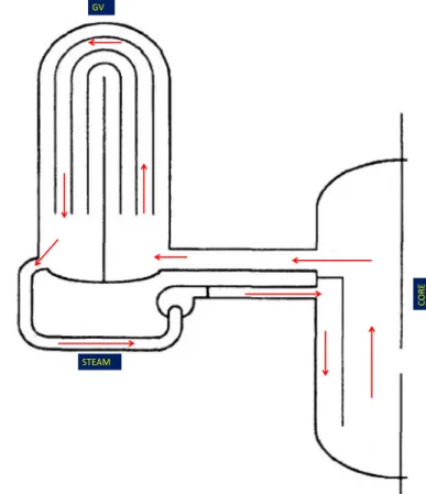 Figura 1: Circolazione del fluido primario in condizione di “full loop natural circulation”