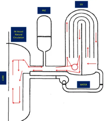 Figura 2: Circolazione del fluido primario in condizione di “Countercurrent natural  circulation”
