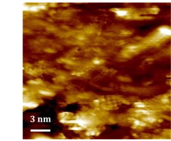 Figure 1. Scanning Tunneling Microscopy (STM) view of PLD-grown Al 2 O 3  showing the nanostructure of the coatings